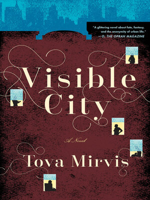 cover image of Visible City